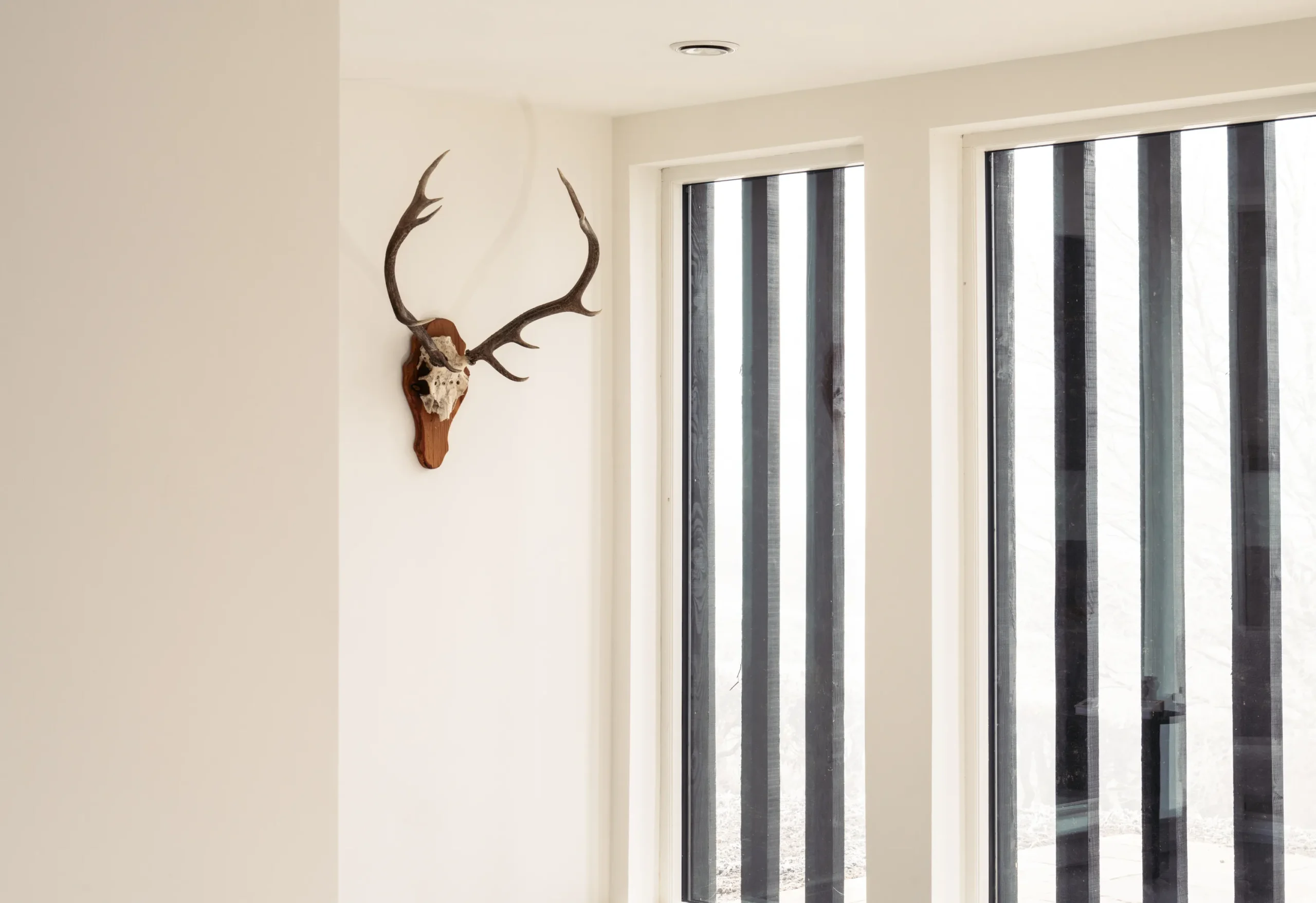 Black and Stone - Interior