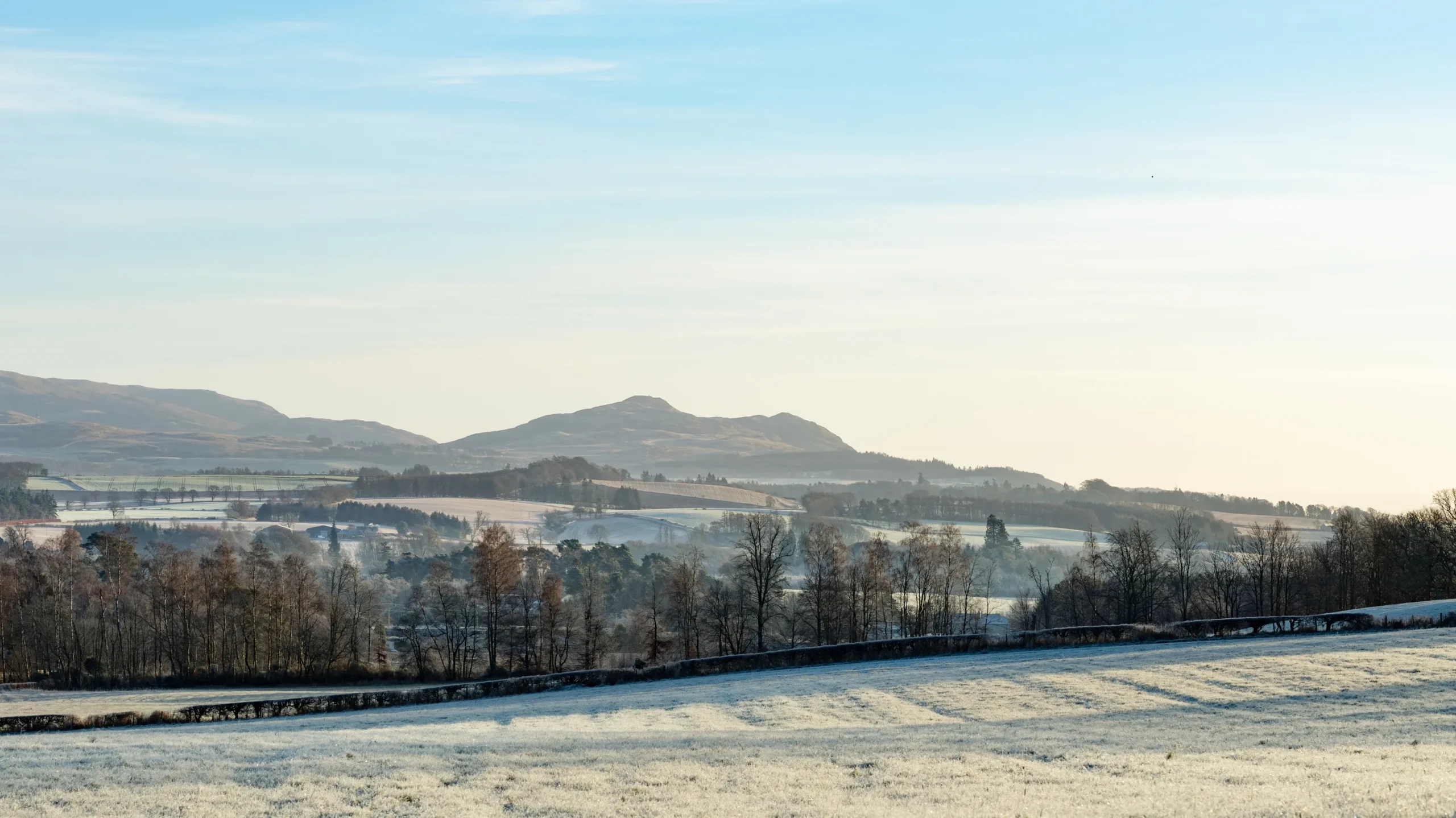 Black and Stone - Landscape