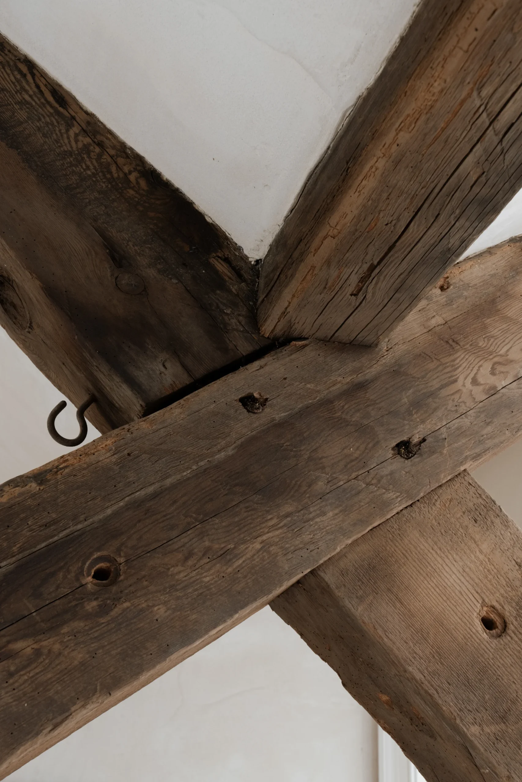 Tudor Lime - Interior